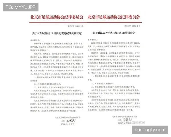 纪律委员会处罚如何影响足球比赛中的判罚执行标准解析 纪律委员会处罚如何影响足球比赛中的判罚执行标准解析